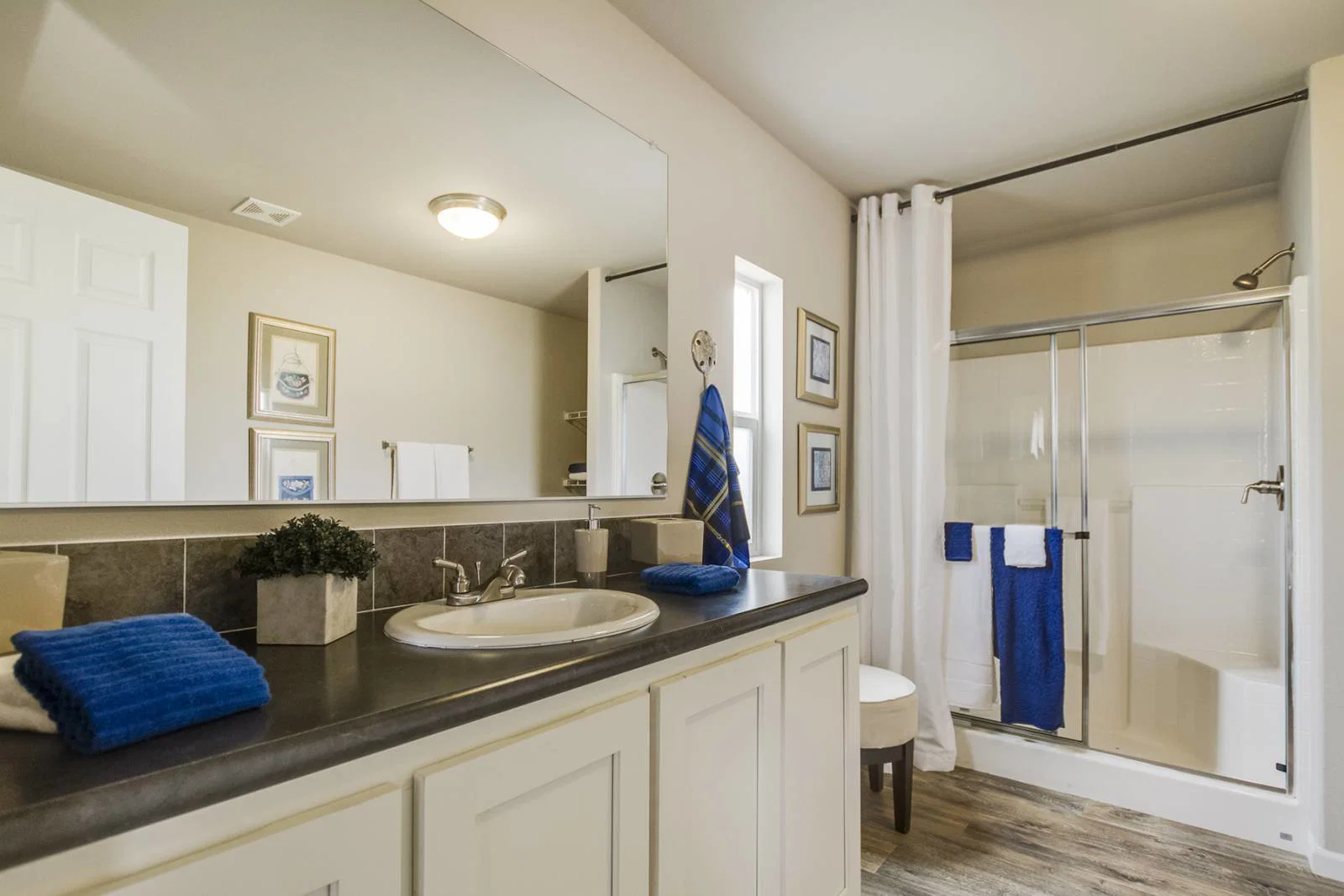 Creekside manor bathroom home features